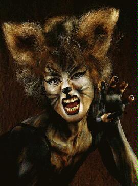 Wellcome to Pyrania HomeStudio's Offisial Web Site